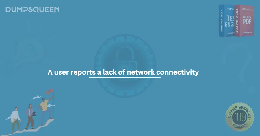 A user reports a lack of network connectivity