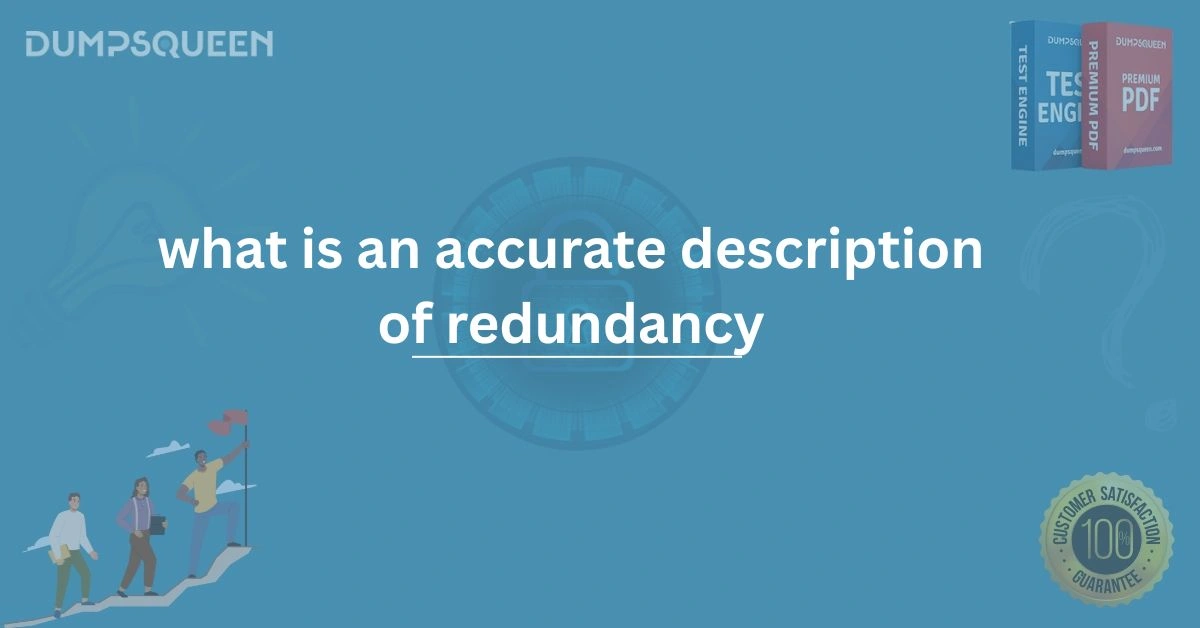 what is an accurate description of redundancy?