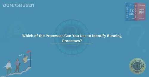 Which of the Processes Can You Use to Identify Running Processes?